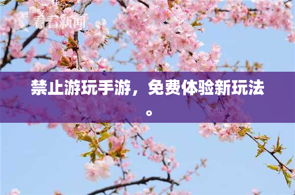禁止游玩手游，免费体验新玩法。