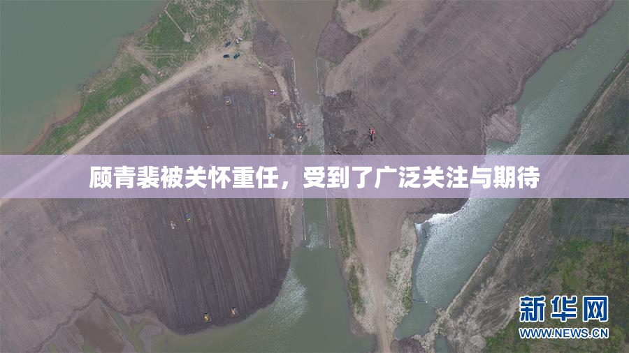 顾青裴被关怀重任，受到了广泛关注与期待
