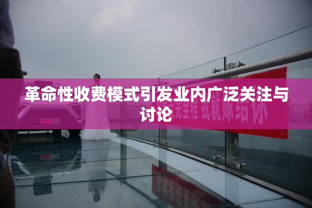 革命性收费模式引发业内广泛关注与讨论