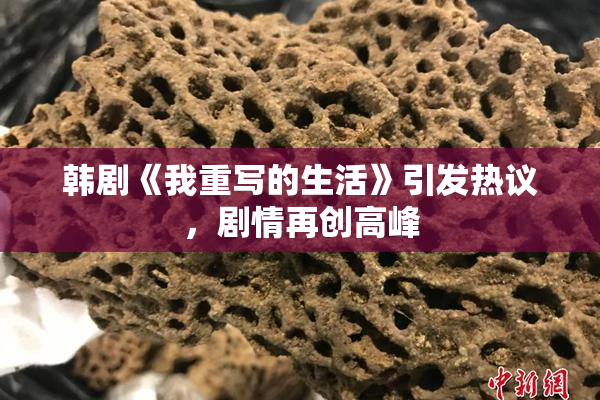 韩剧《我重写的生活》引发热议，剧情再创高峰