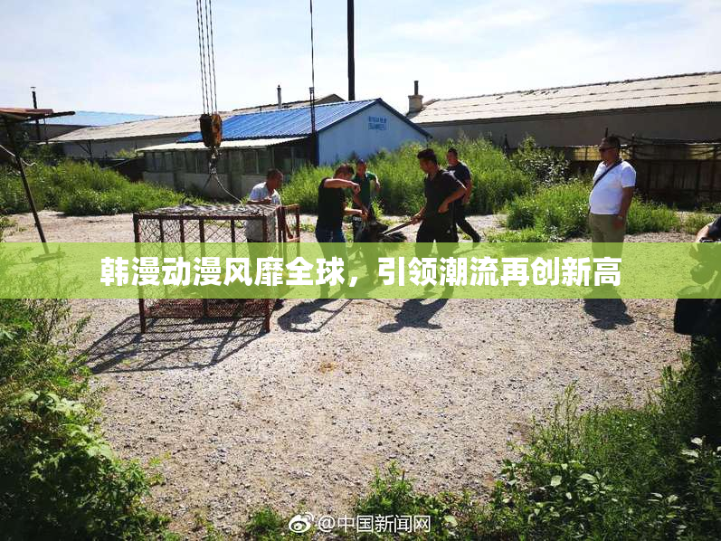 韩漫动漫风靡全球，引领潮流再创新高