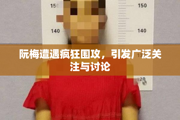 阮梅遭遇疯狂围攻，引发广泛关注与讨论