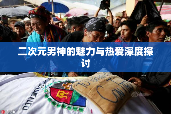 二次元男神的魅力与热爱深度探讨