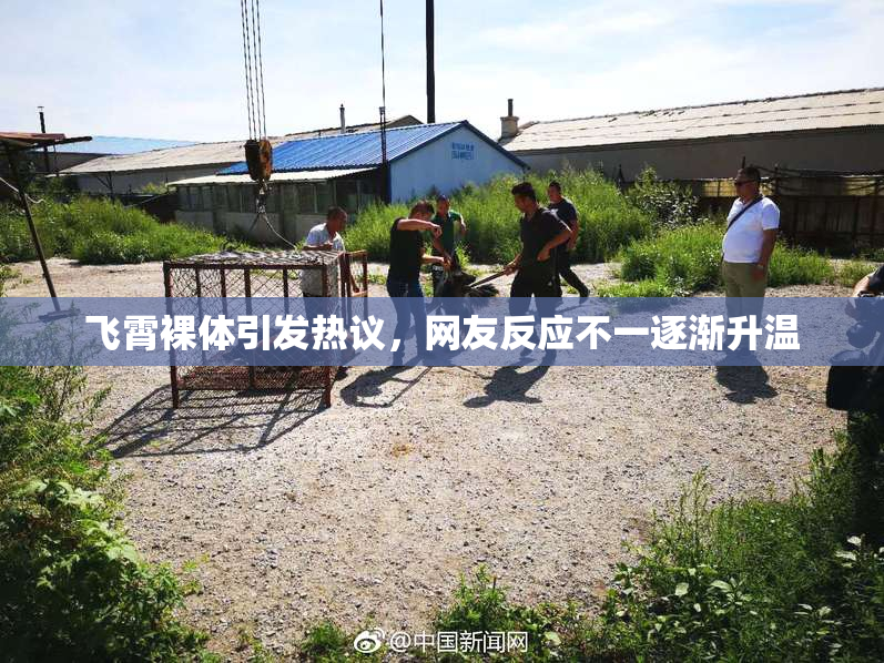 飞霄裸体引发热议，网友反应不一逐渐升温