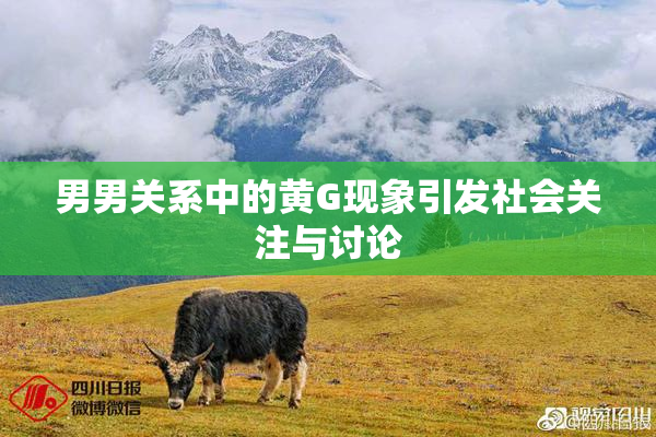 男男关系中的黄G现象引发社会关注与讨论