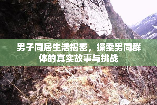 男子同居生活揭密，探索男同群体的真实故事与挑战