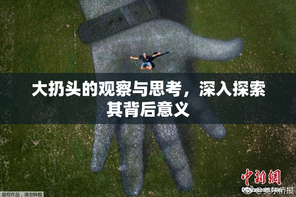 大扔头的观察与思考，深入探索其背后意义