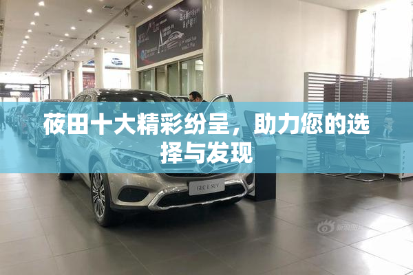 莜田十大精彩纷呈，助力您的选择与发现