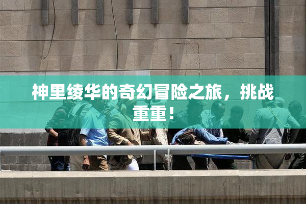 神里绫华的奇幻冒险之旅，挑战重重！