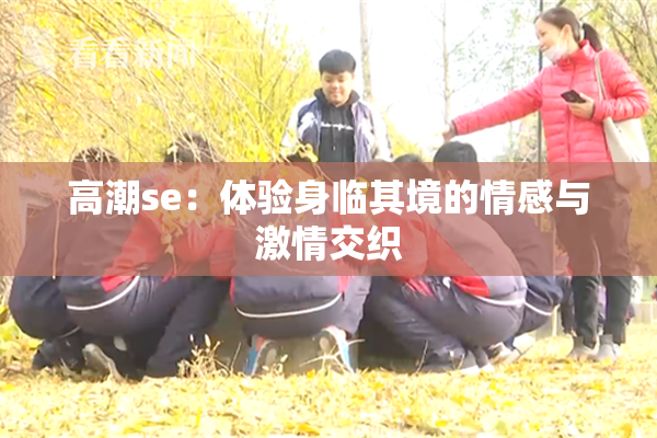 高潮se：体验身临其境的情感与激情交织