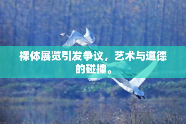 裸体展览引发争议，艺术与道德的碰撞。