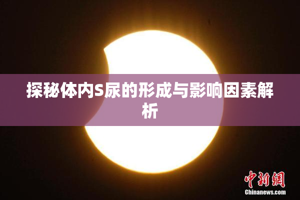 探秘体内S尿的形成与影响因素解析