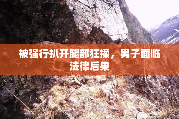 被强行扒开腿部狂揉，男子面临法律后果