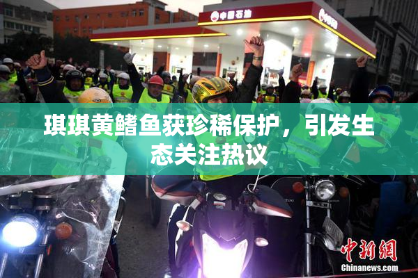 琪琪黄鳍鱼获珍稀保护，引发生态关注热议