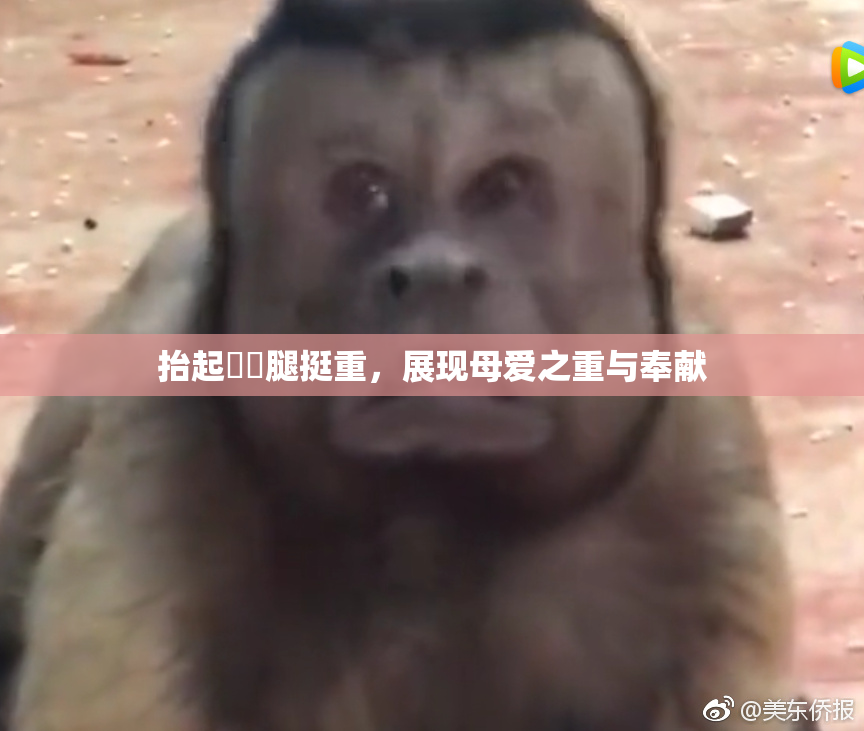 抬起妺妺腿挺重，展现母爱之重与奉献
