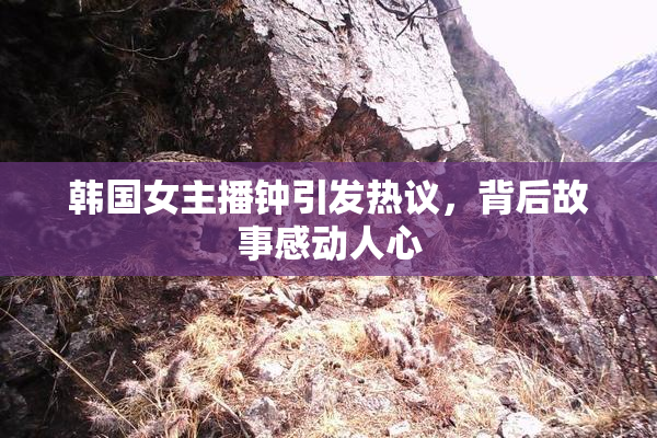 韩国女主播钟引发热议，背后故事感动人心