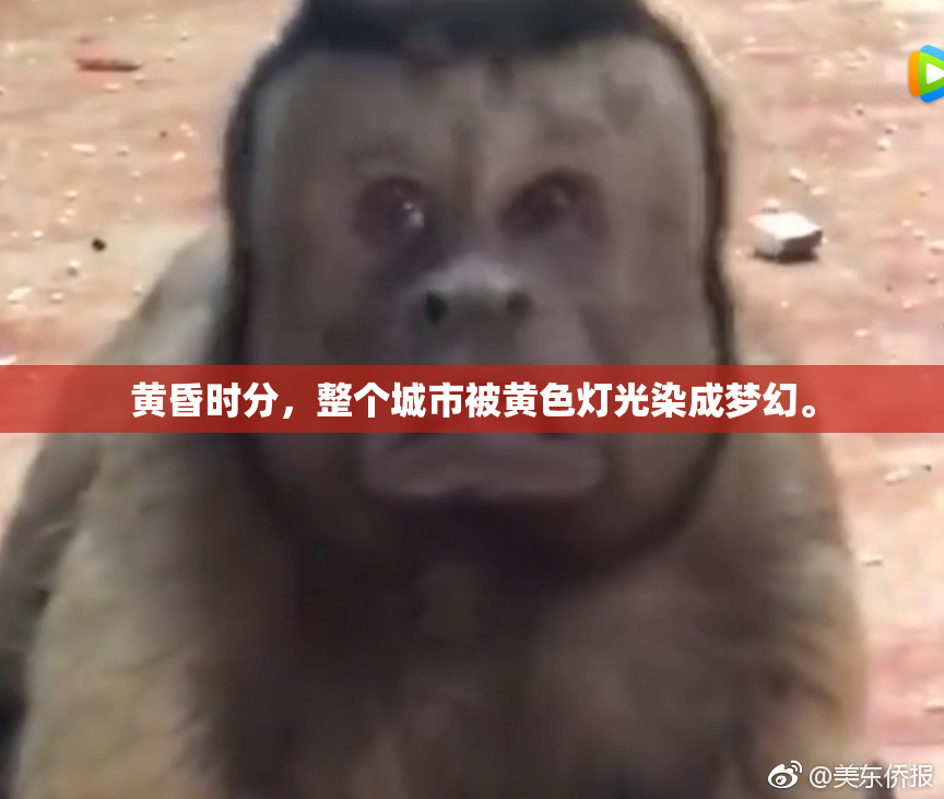 黄昏时分，整个城市被黄色灯光染成梦幻。