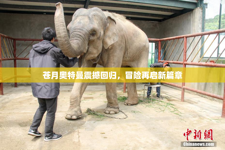 苍月奥特曼震撼回归，冒险再启新篇章