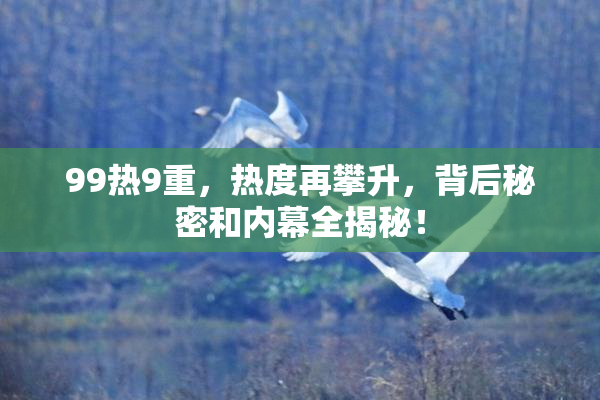 99热9重，热度再攀升，背后秘密和内幕全揭秘！