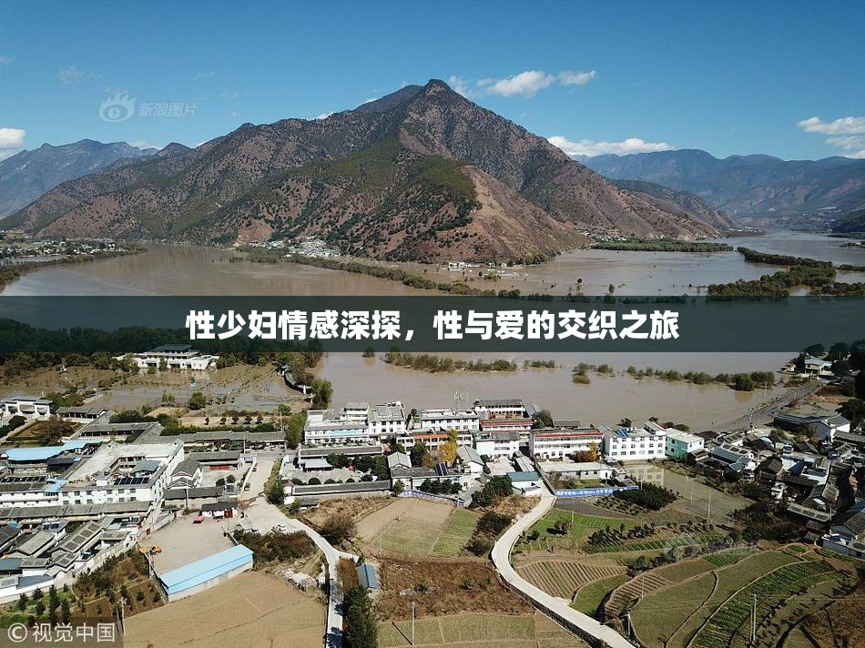 性少妇情感深探，性与爱的交织之旅