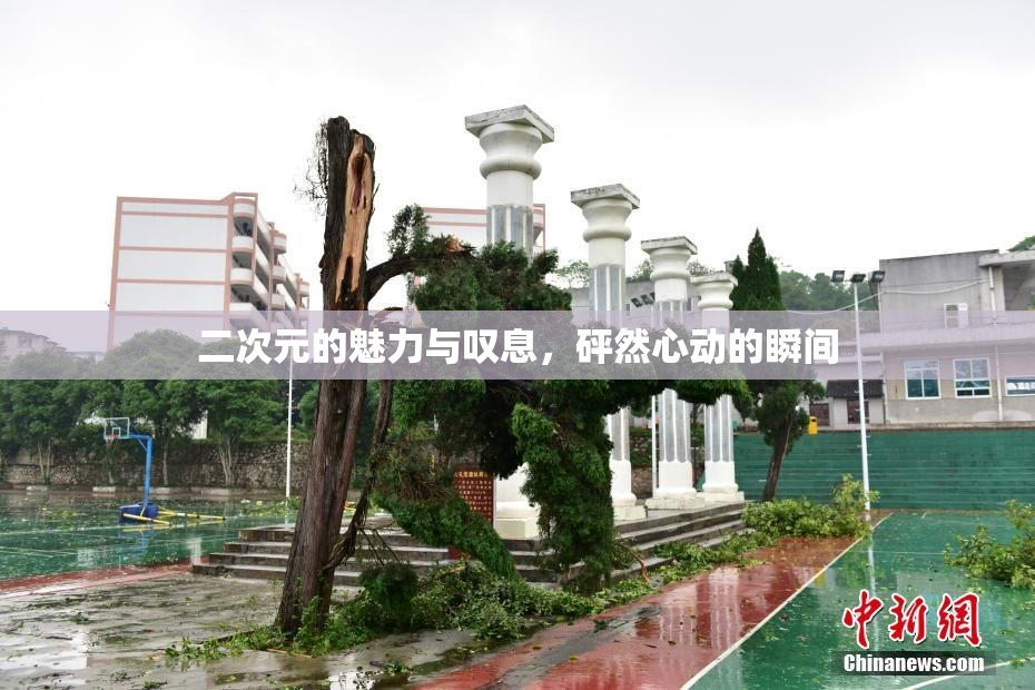 二次元的魅力与叹息，砰然心动的瞬间