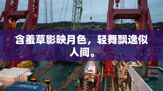 含羞草影映月色，轻舞飘逸似人间。