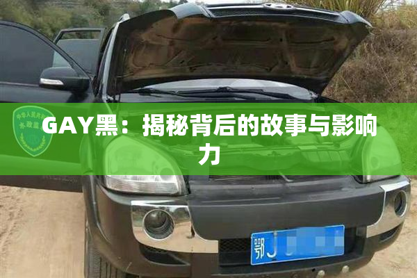 GAY黑：揭秘背后的故事与影响力