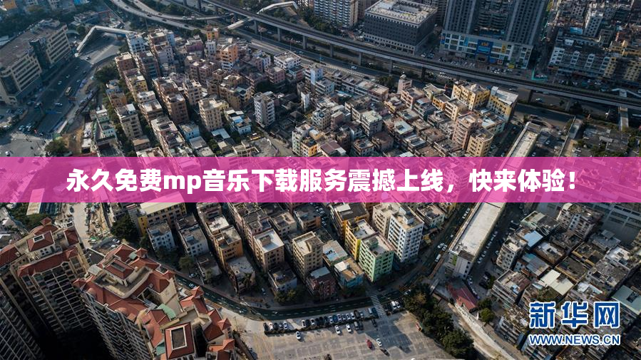 永久免费mp音乐下载服务震撼上线，快来体验！