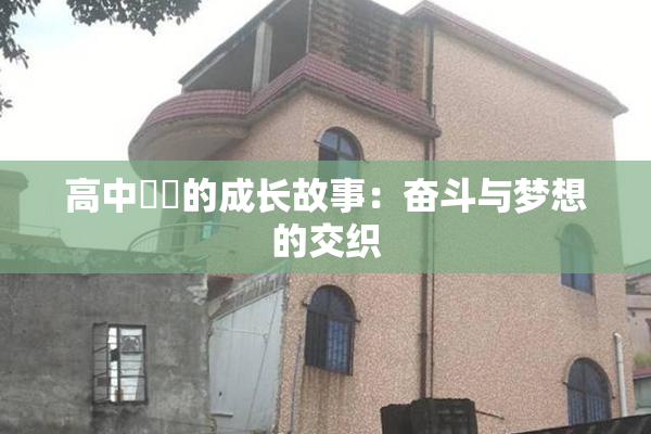 高中妺妺的成长故事：奋斗与梦想的交织