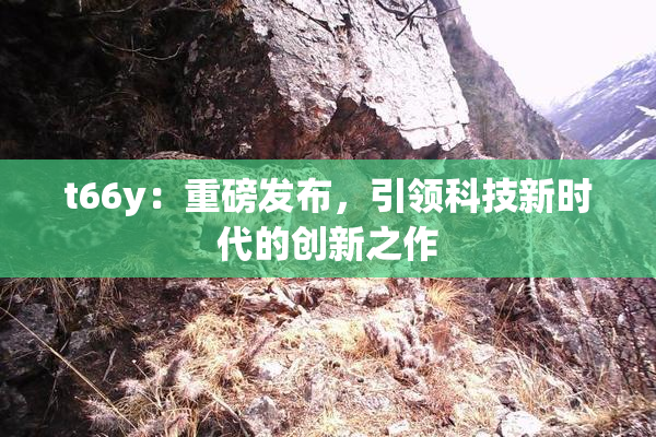 t66y：重磅发布，引领科技新时代的创新之作