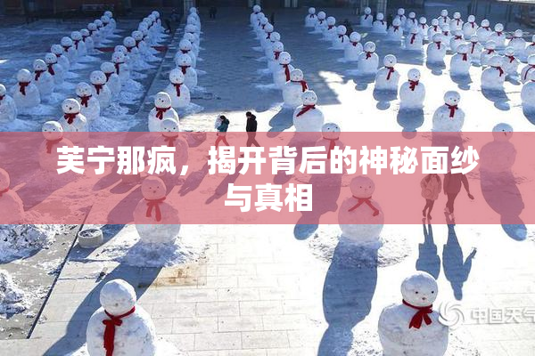 芙宁那疯，揭开背后的神秘面纱与真相