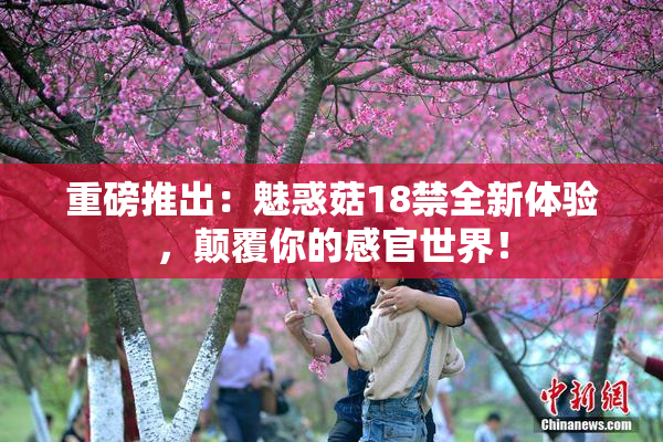 重磅推出：魅惑菇18禁全新体验，颠覆你的感官世界！