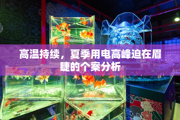 高温持续，夏季用电高峰迫在眉睫的个案分析