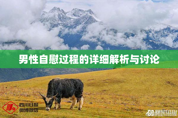 男性自慰过程的详细解析与讨论