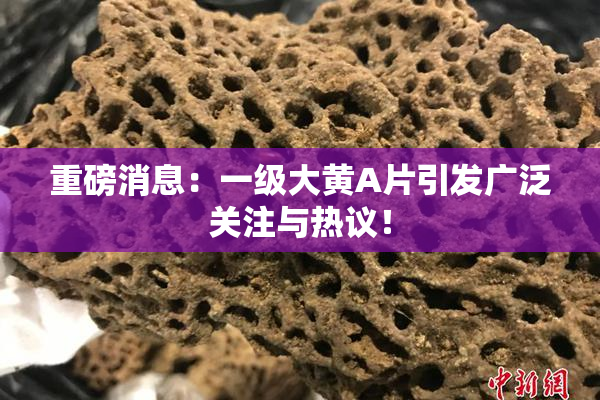重磅消息：一级大黄A片引发广泛关注与热议！