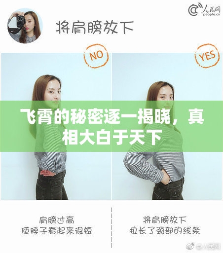 飞霄的秘密逐一揭晓，真相大白于天下