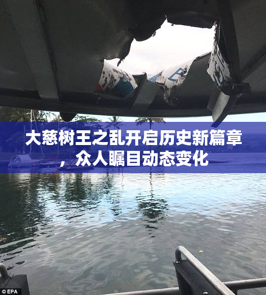 大慈树王之乱开启历史新篇章，众人瞩目动态变化
