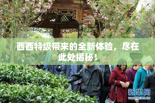 西西特级带来的全新体验，尽在此处揭秘！