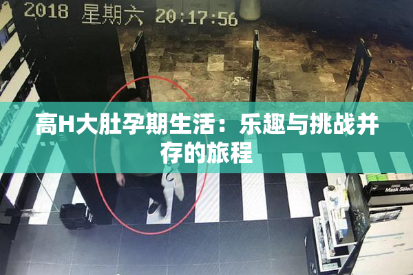 高H大肚孕期生活：乐趣与挑战并存的旅程