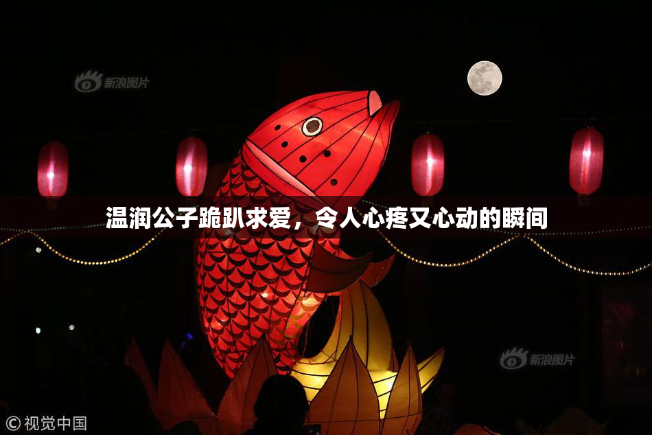 温润公子跪趴求爱，令人心疼又心动的瞬间