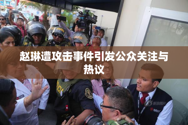 赵琳遭攻击事件引发公众关注与热议