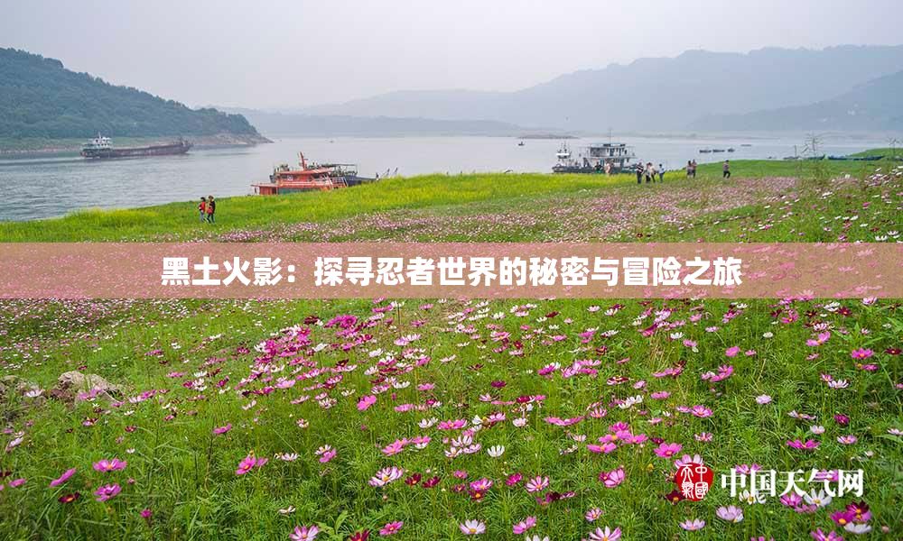 黑土火影：探寻忍者世界的秘密与冒险之旅