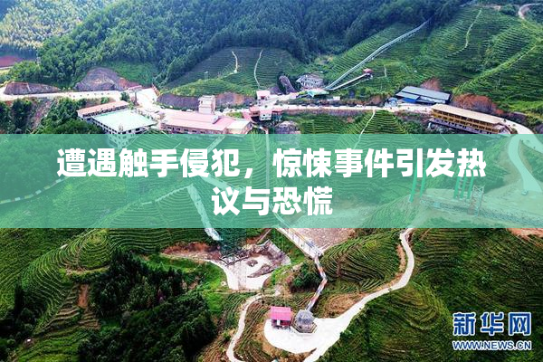 遭遇触手侵犯，惊悚事件引发热议与恐慌