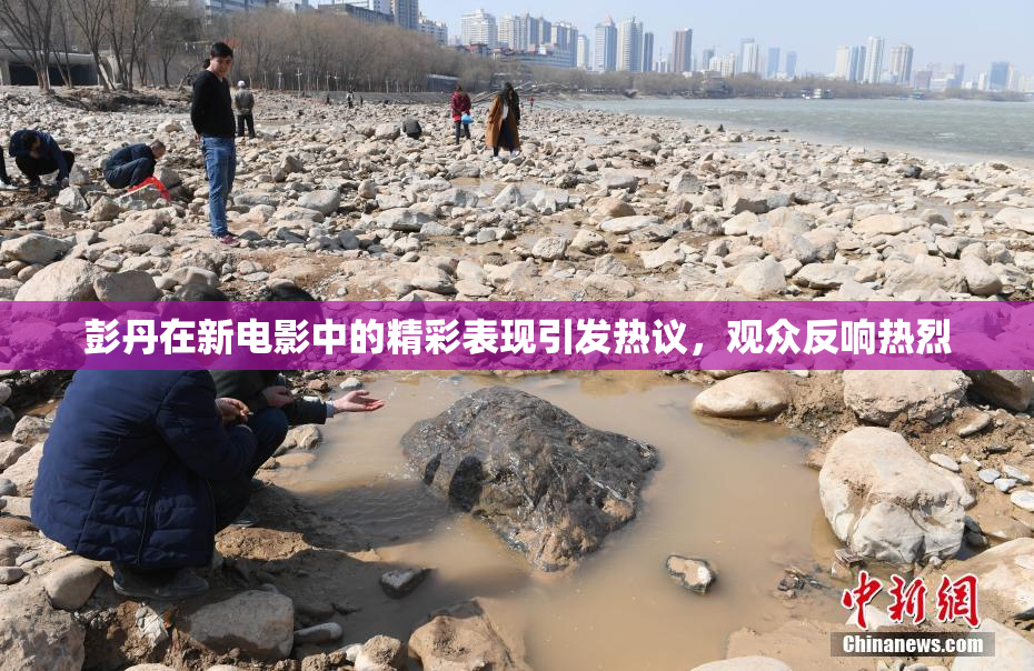 彭丹在新电影中的精彩表现引发热议，观众反响热烈