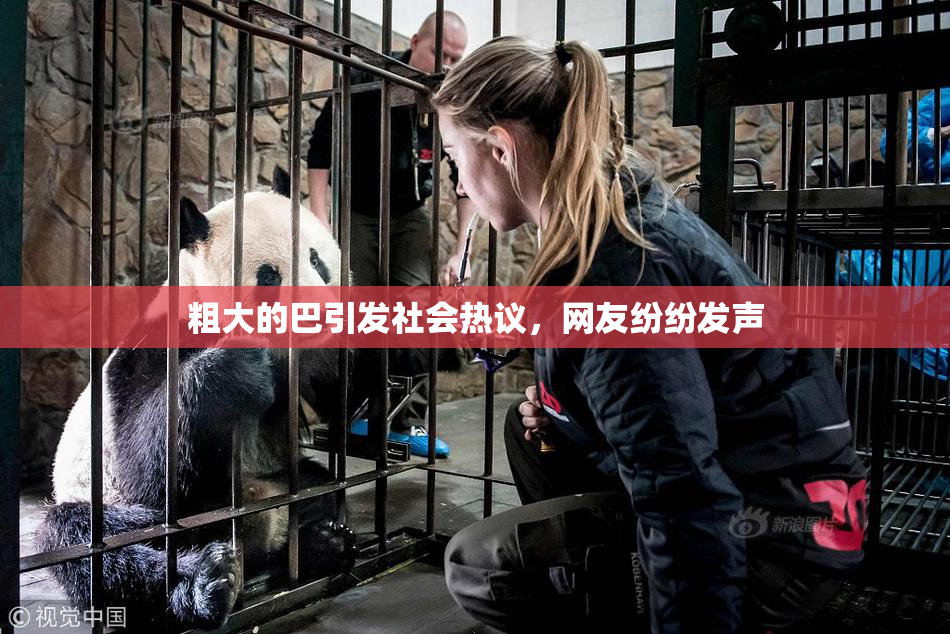 粗大的巴引发社会热议，网友纷纷发声