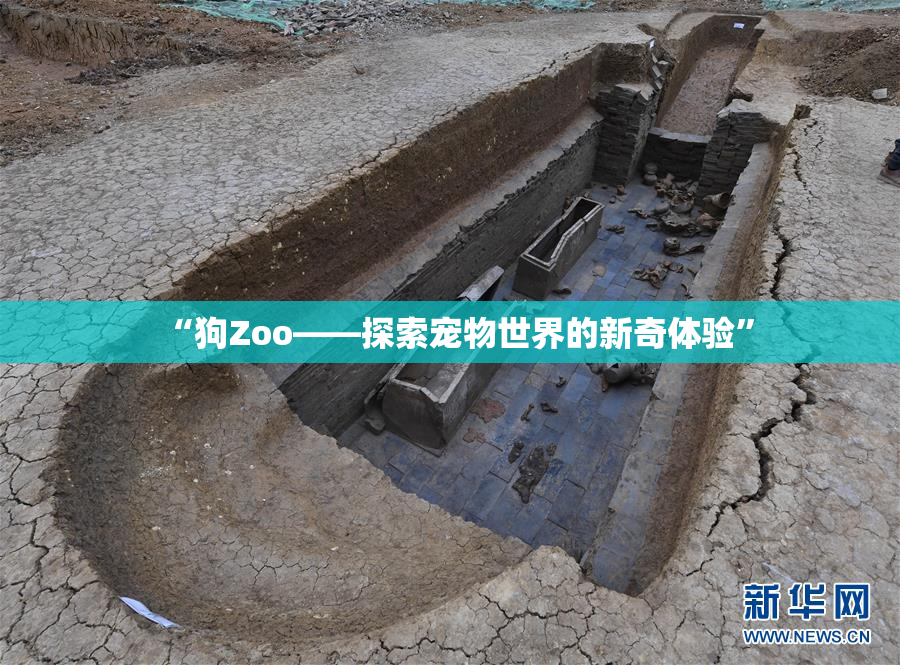 “狗Zoo——探索宠物世界的新奇体验”