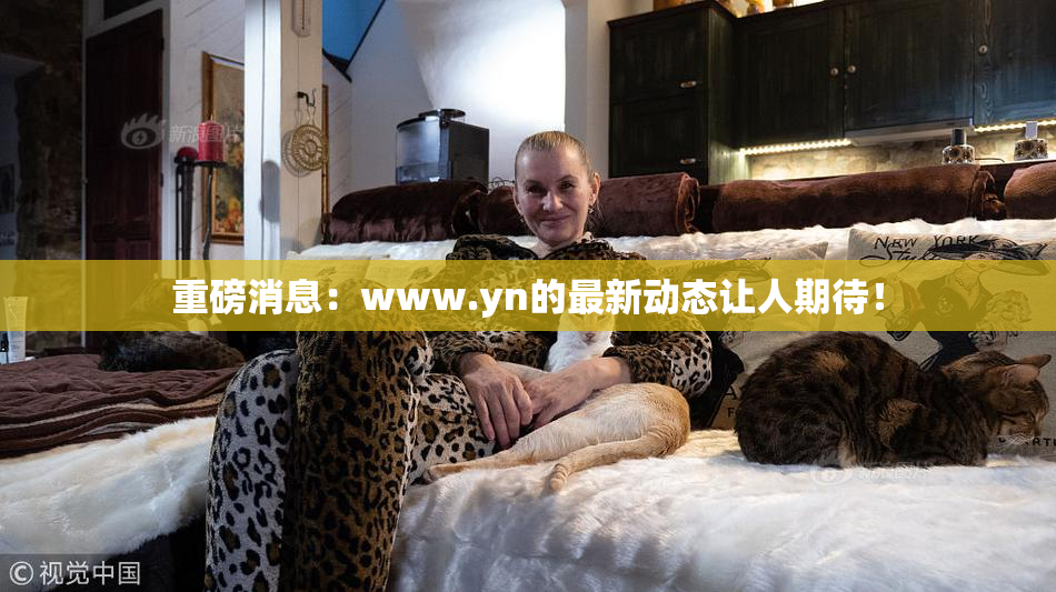 重磅消息：www.yn的最新动态让人期待！