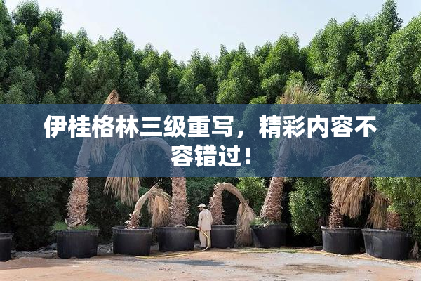 伊桂格林三级重写，精彩内容不容错过！