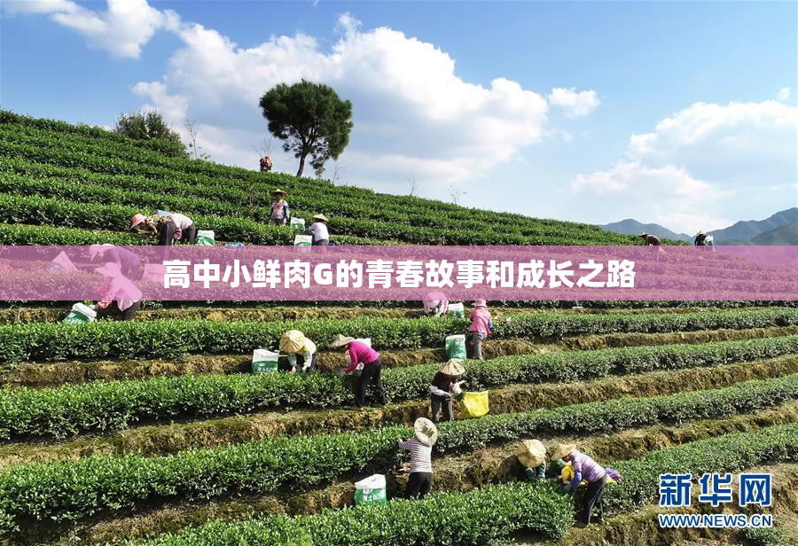 高中小鲜肉G的青春故事和成长之路