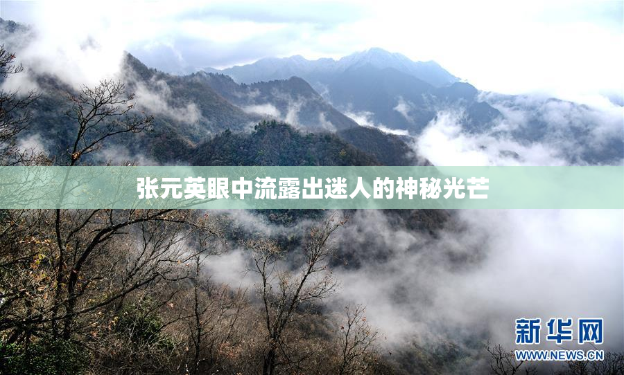 张元英眼中流露出迷人的神秘光芒